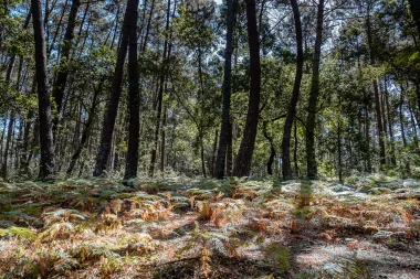 Parc de Mandavit de Gradignan (9).